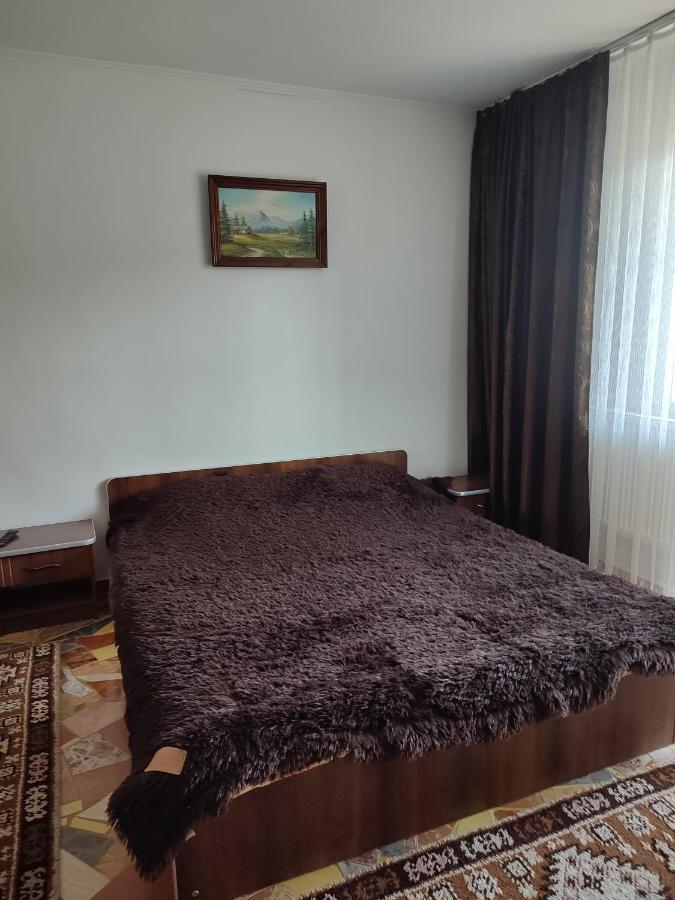 Отель Casa Irilen Мэнэстиря-Гуморулуй Экстерьер фото
