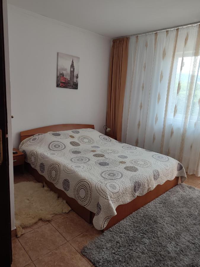 Отель Casa Irilen Мэнэстиря-Гуморулуй Экстерьер фото
